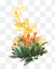 Le Tea Leaf Illustration U0026 Design - Cha A Study of Sketch png