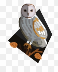 Free Png Bird - Konfest Illustration,Prey Png