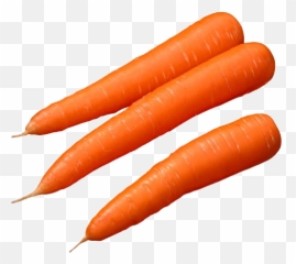 Download Zanahoria - Public Domain Free Images Carrots Png,Zanahoria Png
