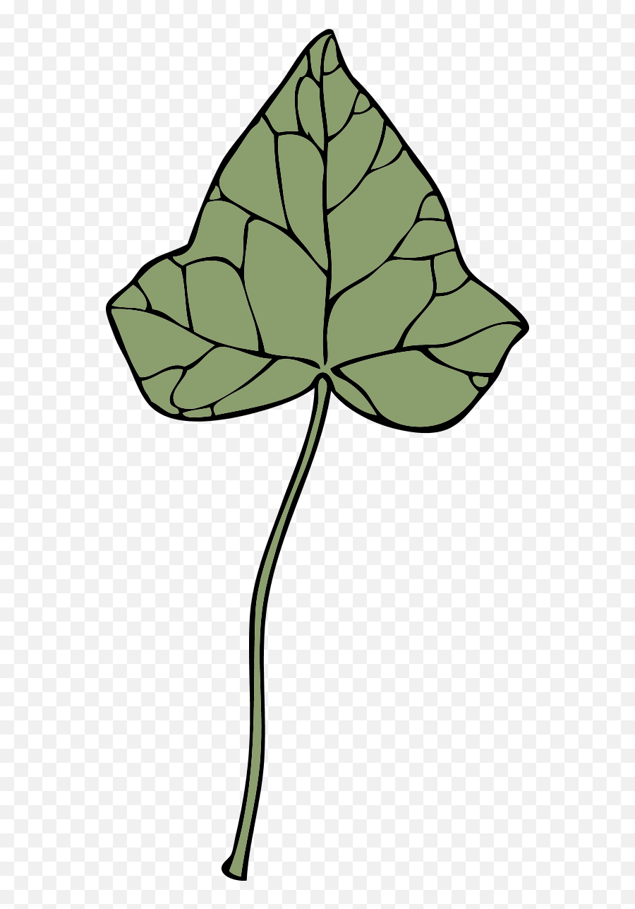 Ivy Leaf - Clip Art Png,Ivy Leaf Png