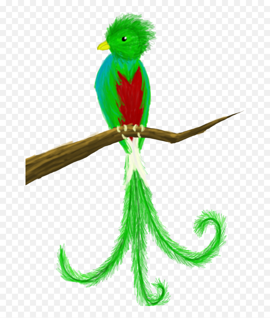 Download Quetzal - Quetzal Free Clipart Png,Quetzal Png