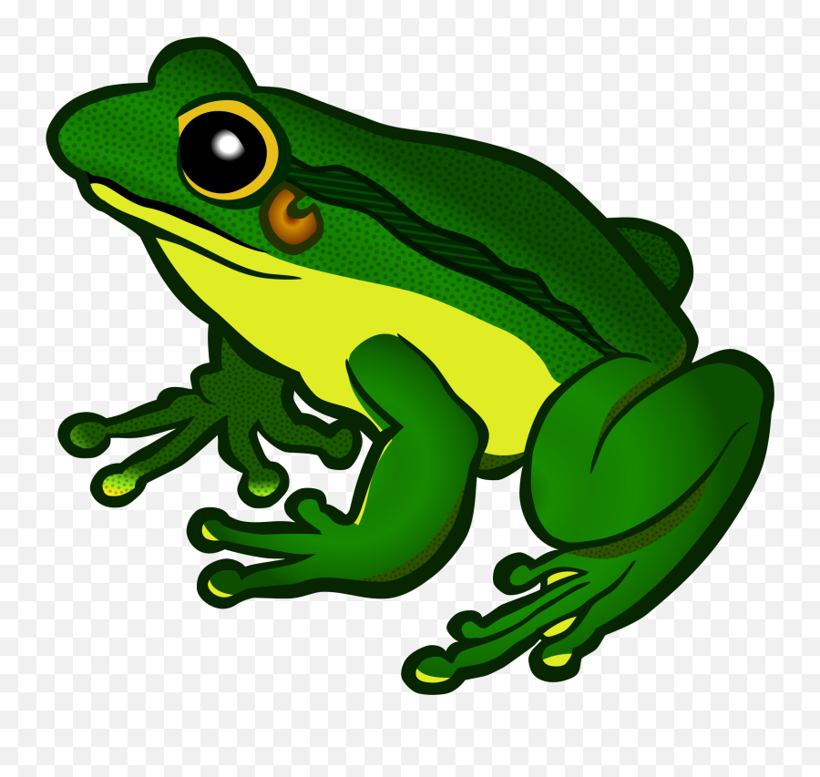 Frog Png Clipart - Clipart Transparent Background Frog,Kermit The Frog Png