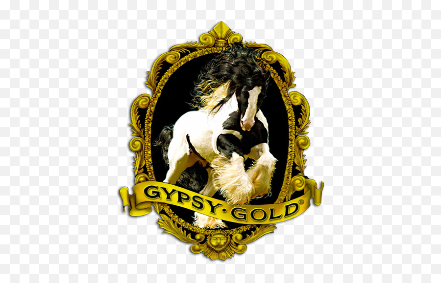 Gypsy Vanner Horses For Sale U2013 Gold Americau0027s - Horse Supplies Png,Horse Foot Symbol Icon