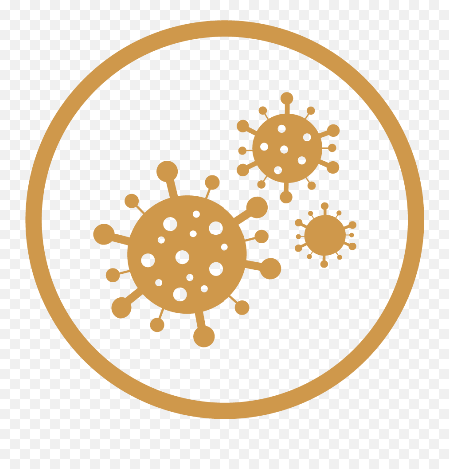 Covid - 19 The Gentlemanu0027s Salon Coronavirus Disease 2019 Png,Icon For Rules