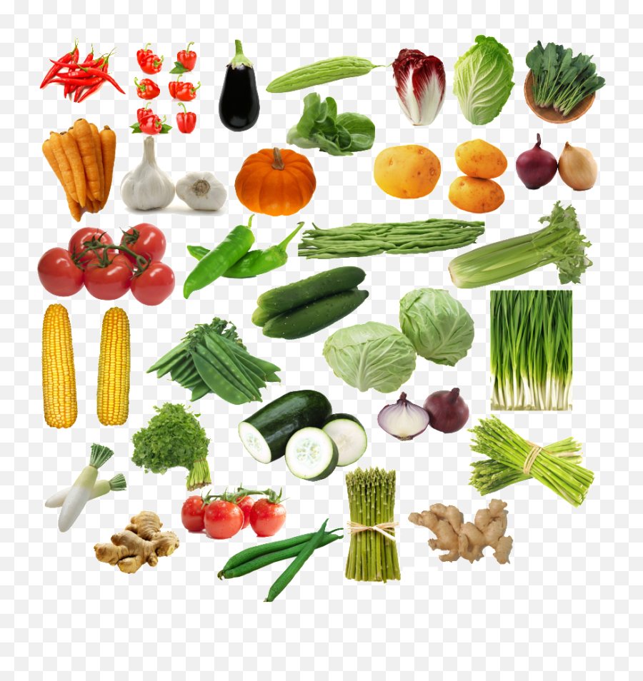 Download Hd This Graphics Is All Kinds Of Fruits And - All Vegetable Image Png,Vegetable Icon Png