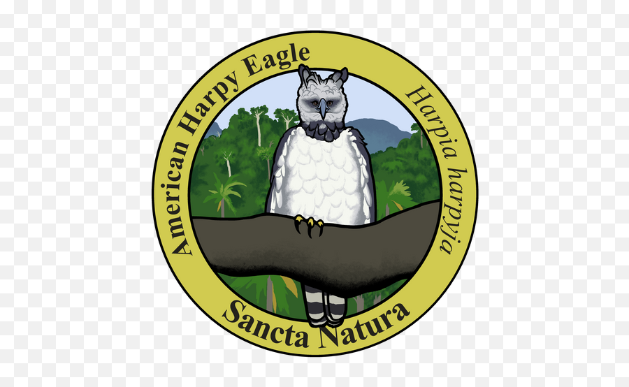 All Adult Species Logo T - Shirts U2013 Sancta Natura Unhasy Png,Harpy Icon