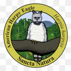All Adult Species Logo T - shirts u2013 Sancta Natura Unhasy png