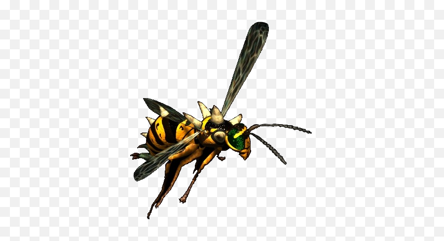 Giant Wasp - Giant Wasp Png,Wasp Png