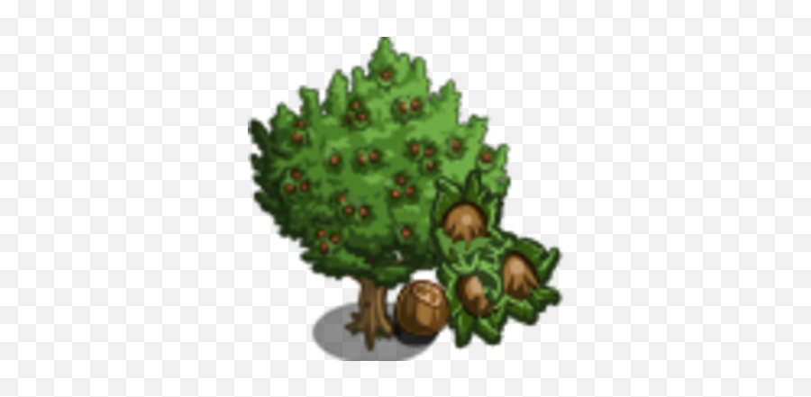 Hazelnut Tree Farmville Wiki Fandom - Tree Png,Hazelnut Icon