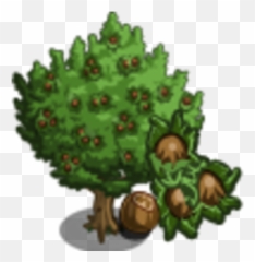 Hazelnut Tree Farmville Wiki Fandom - png
