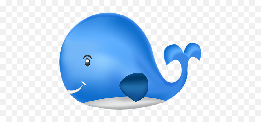 Free Photo Whale Marine Mammal Animal Icon - Fish Png,Marines Icon