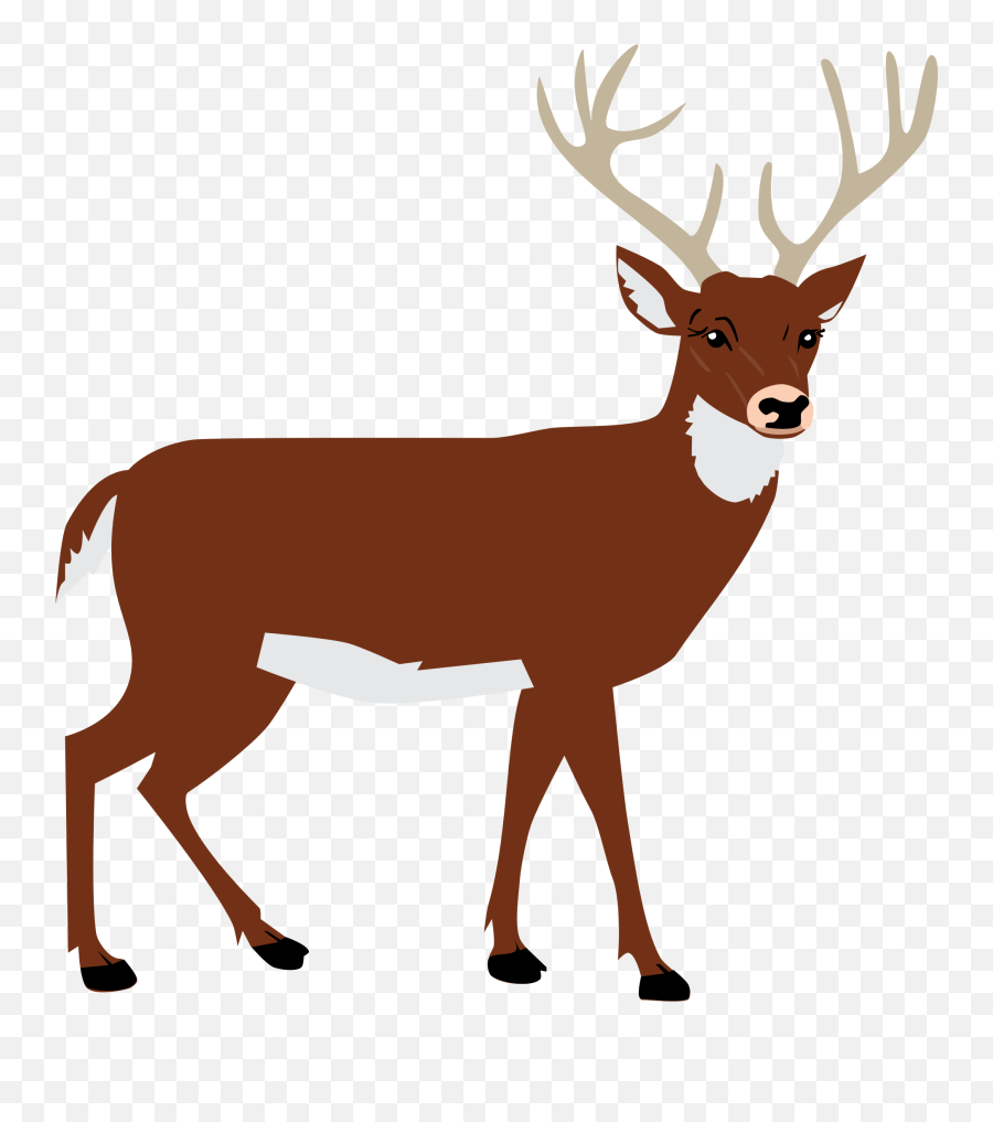 Animal Vector Png Transparent Vectorpng Images - Deer Silhouette Transparent Background,Animal Clipart Png