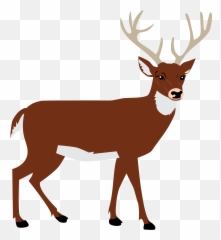 Animal Vector Png Transparent Vectorpng Images - Deer Silhouette Transparent Background,Animal Clipart Png