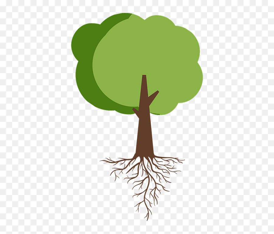Tree With Roots - Thievery Corporation Babylon Rewound Png,Tree Illustration Png