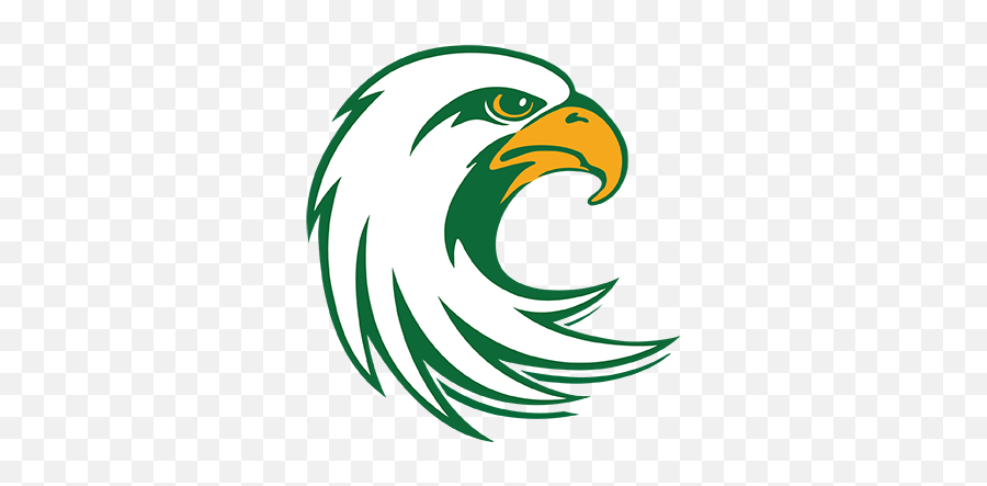 Athletics Logos - Jamestown Community College Jayhawks Png,Eagle Head Logo
