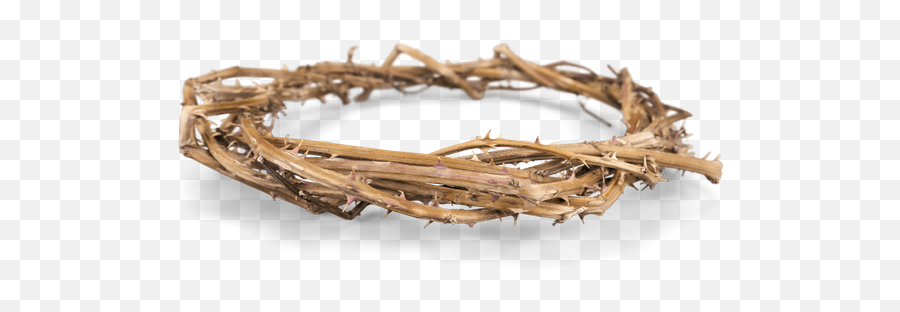 Picture - Crown Of Thorns Png Download,Thorns Png
