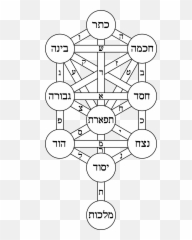 Tree Of Life - Tree Of Life Kabbalah Png,Tree Of Life Png