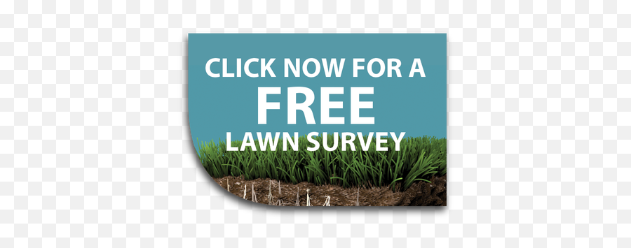 Premiership Lawncare - Home Click Here Icon Png,Lawn Png
