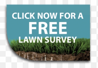 Premiership Lawncare - Home Click Here Icon Png,Lawn Png