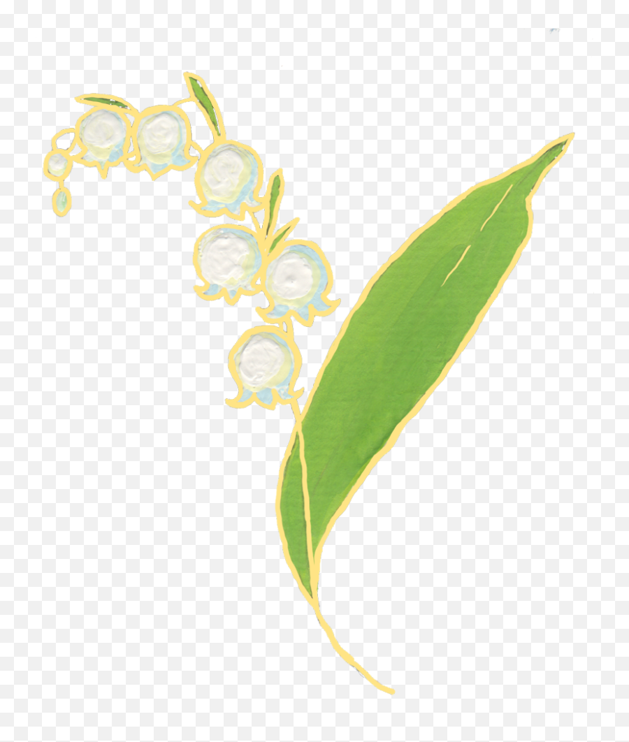 Download First Of All Maybe The Quotation Is Questioning - Plant Stem Png,Lily Of The Valley Png