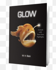 Glow Animals With Their Own Night - Lights Feed Magazine With png