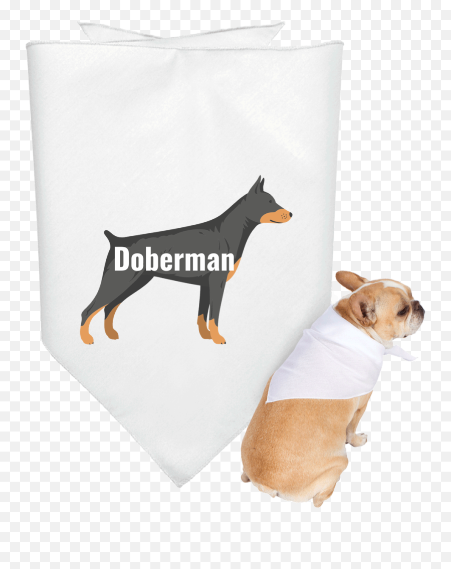 Download Hd Doberman Illustration With Name Within 3905 - Dobermann Png,Doberman Png