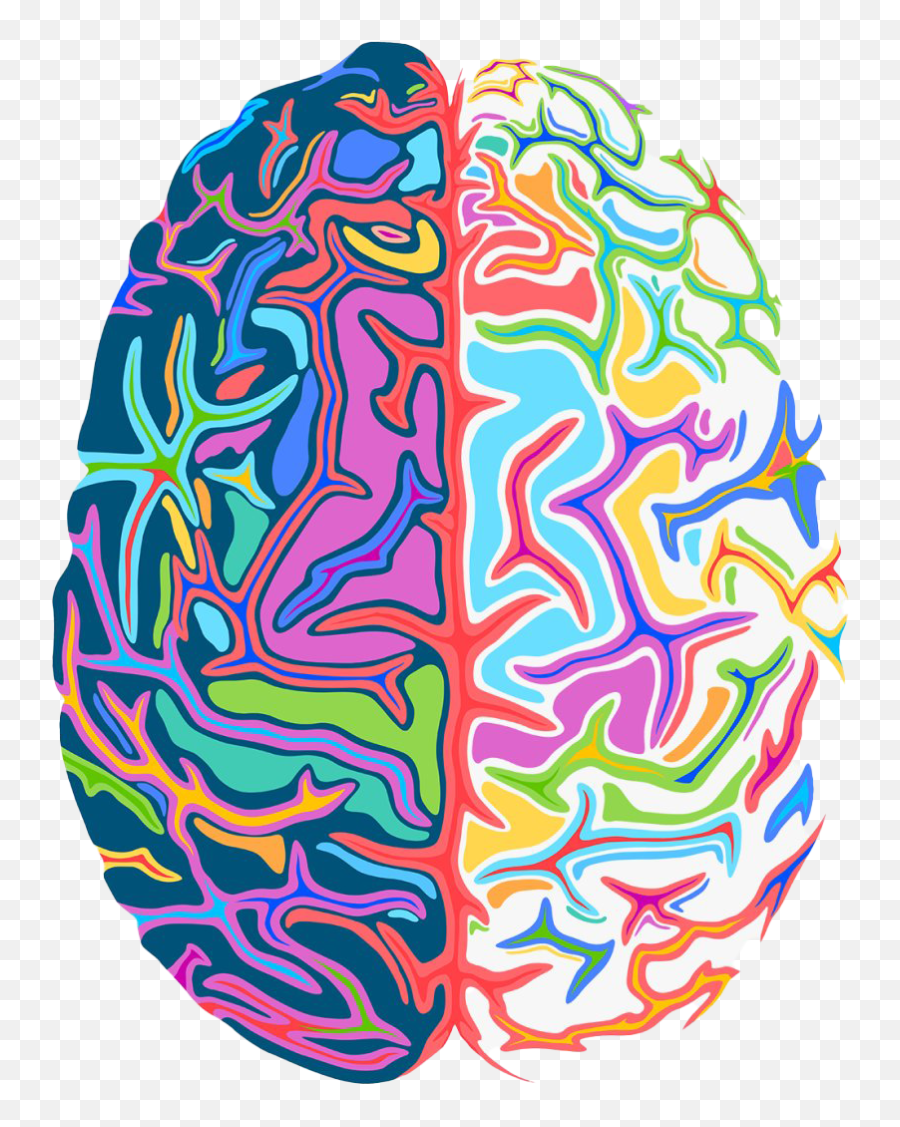 Art Brain Png Image Arts - Psychedelic Brain Png,Brain Png