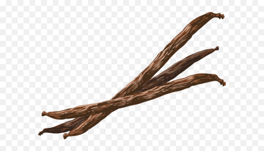 Vanilla Beans Transparent Png - Vanilla Bean Png,Vanilla Bean Png