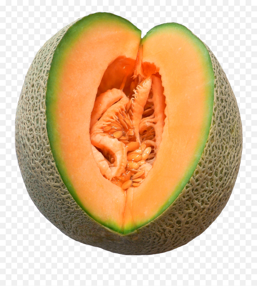 Download Melon Cut Png Image - Melon Png,Melon Png