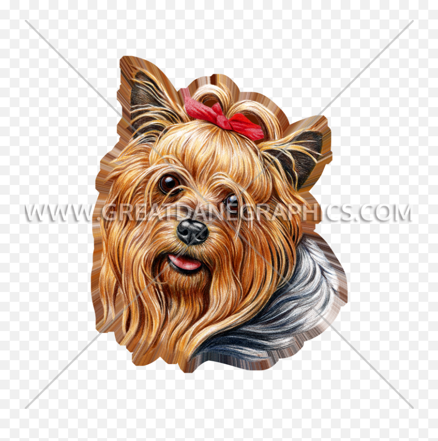 Yorkie Production Ready Artwork For T - Shirt Printing Yorkshire Terrier Png,Yorkie Png