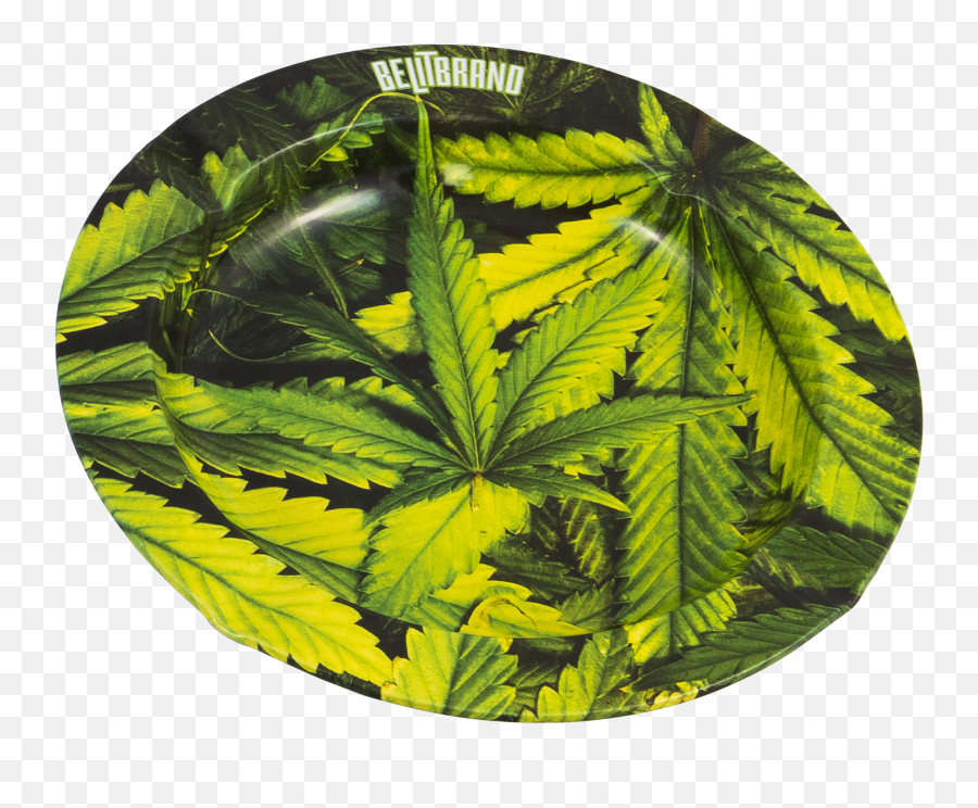 Download Be Lit Ashtray Leafy - Marijuana Gardening Step Language Png,Ashtray Png