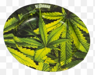 Download Be Lit Ashtray Leafy - Marijuana Gardening Step Language Png,Ashtray Png
