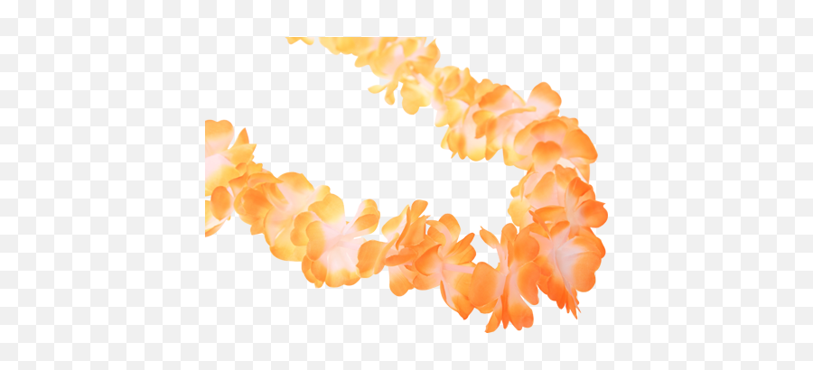 Hawaiian Lei Garlands Colour Event Supplies Running Imp - Color Gradient Png,Lei Png