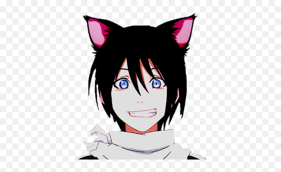 Download Yato Noragami Noragamiaragoto - Yato Neko Png,Yato Transparent