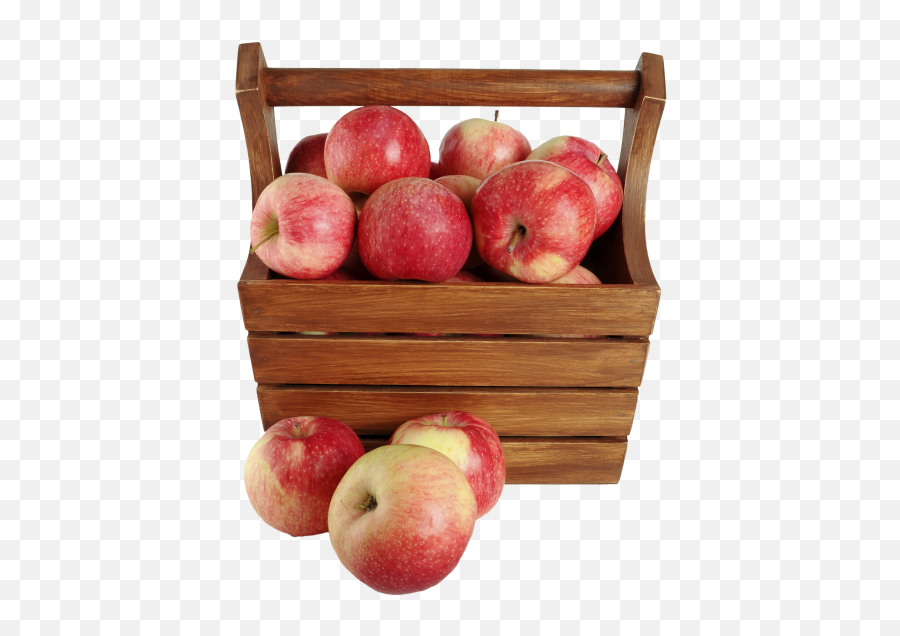 Apples In A Basket Png Image - Basket Of Apples Transparent Background,Basket Png