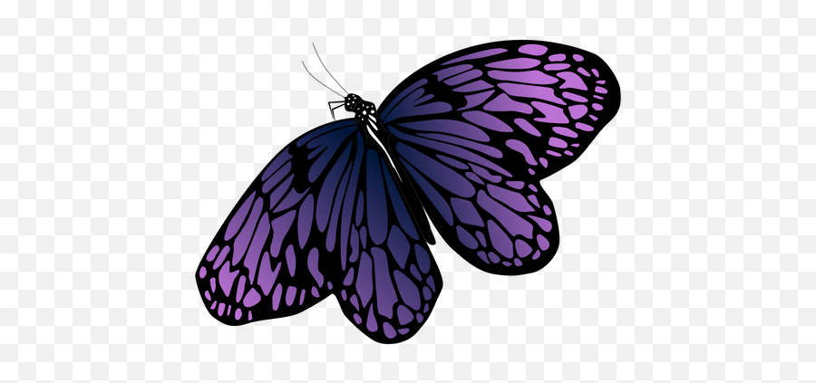 Transparent Png Svg Vector File - Purple Butterfly Vector Png,Butterfly Transparent