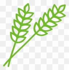 Vegetable Leaf Vector Icons Free Download In Svg Png Format - Decorative