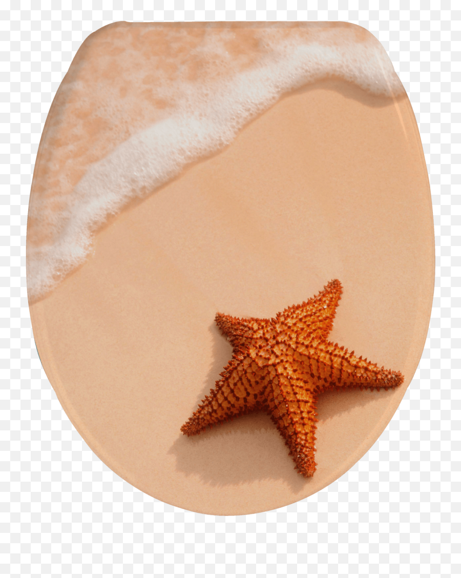 Wc - Starfish Png,Keramag Icon Wc Montageanleitung
