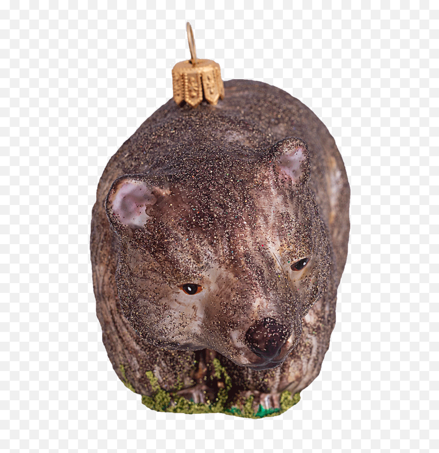 Wombat - Bears Png,Wombat Icon