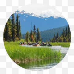 Links - Sequoia Brigade Camp Natural Landscape png