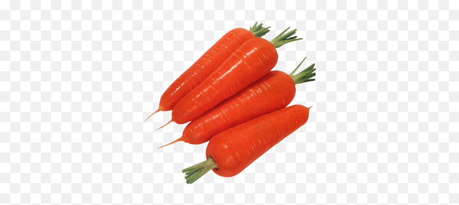 Download Carrot Transparent - Carrots Png,Carrot Transparent Background