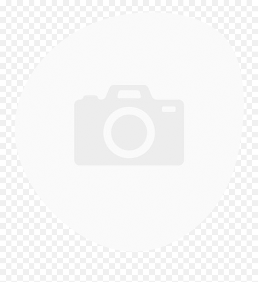 Team U2014 Creole Inc - Mirrorless Camera Png,Pinterest Icon Grey