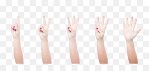 Download Free Png Hand - Woman Hand Peace Sign Png,Woman Hand Png