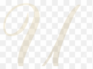 Travel The Ultimate Meet Up - Language png