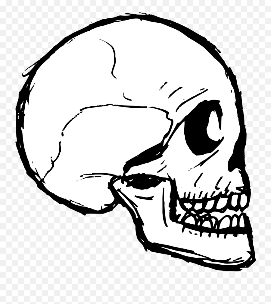8 Skull Drawing Vector Png - Skull Drawing Transparent Background,Skull Drawing Png