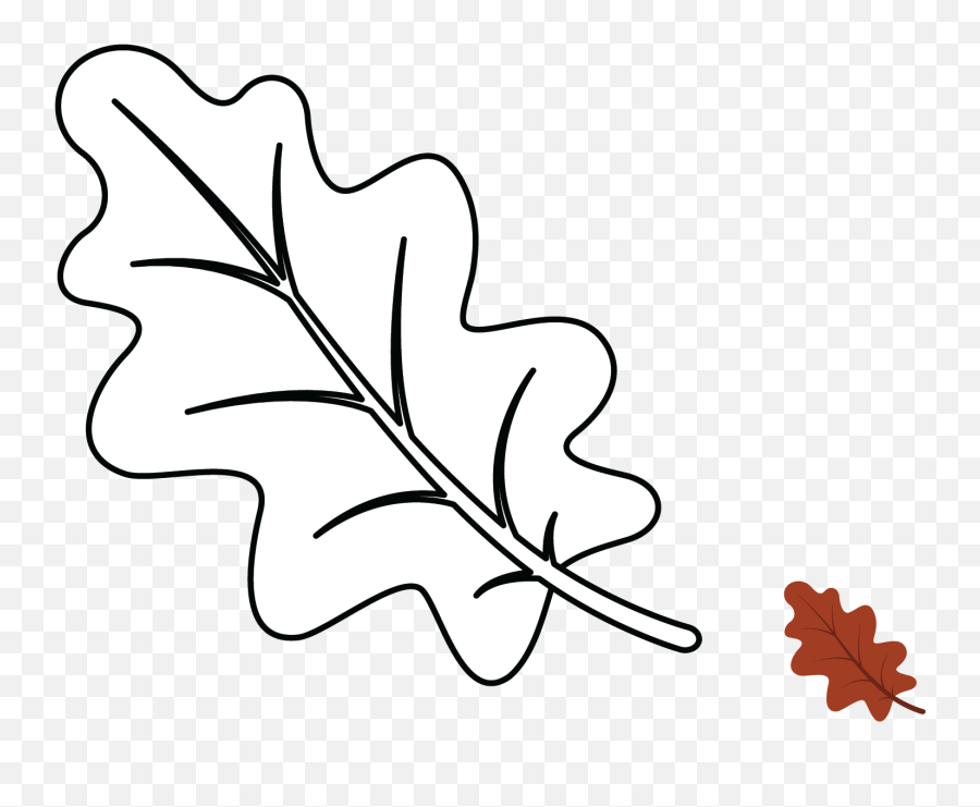 Thanksgiving Fall Leaf Coloring Graphic By Studioisamu Png Leaves Icon