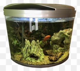 Fish Tank Transparent Background Image - Fish Tank Transparent Background Png,Tank Transparent Background