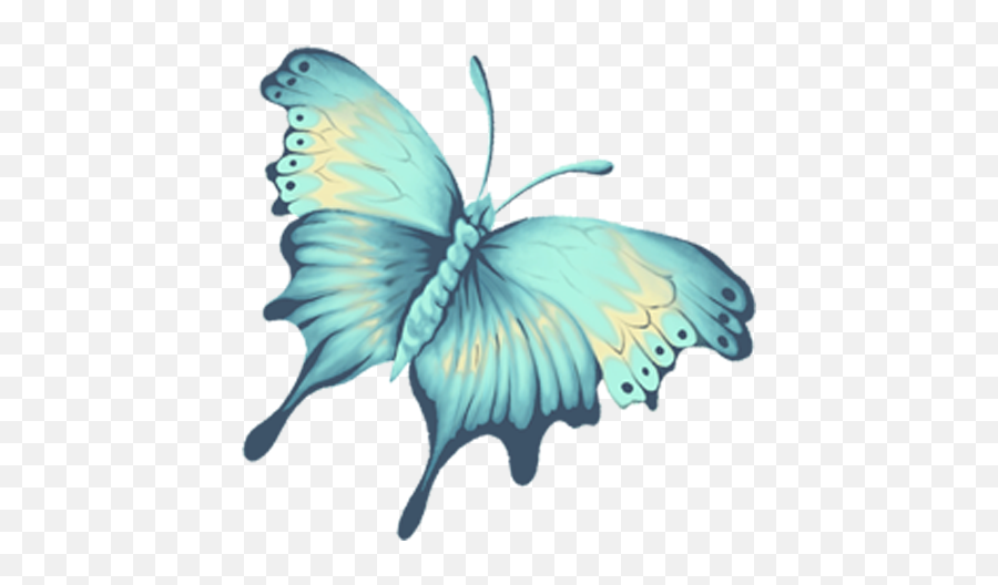Blue - Butterflies Png,Blue Butterfly Png