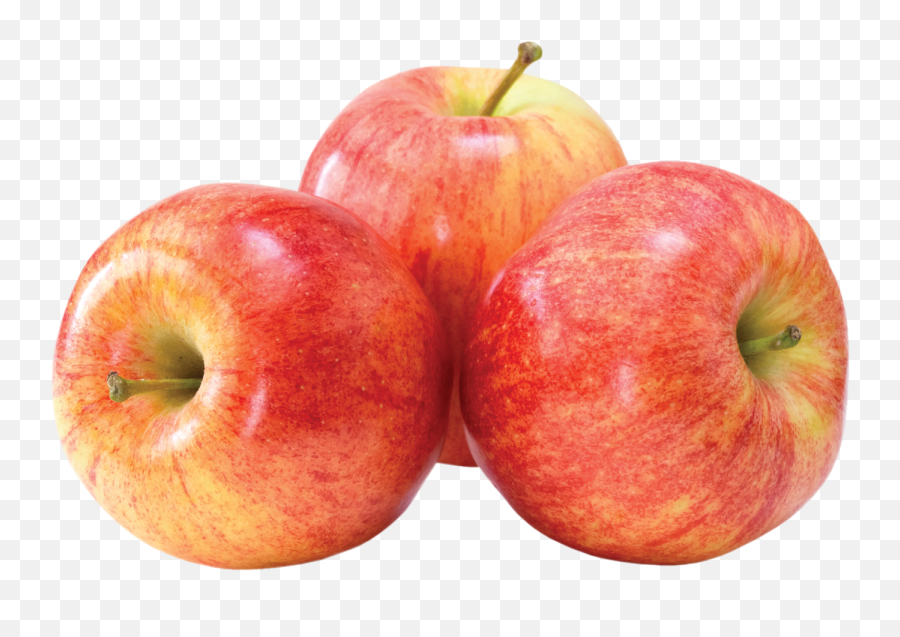 Apple Png Image - Honeycrisp Apples Png Gala Apple Transparent Fuji Apple Png,Apples Png