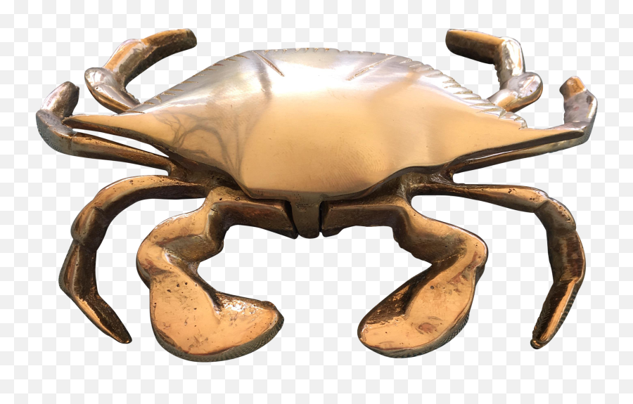 Transparent Crab Nautical - Dungeness Crab Png,Crab Transparent